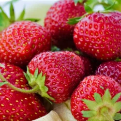 Земляника ремонтантная (крупноплодная) изысканного вкуса Амандин