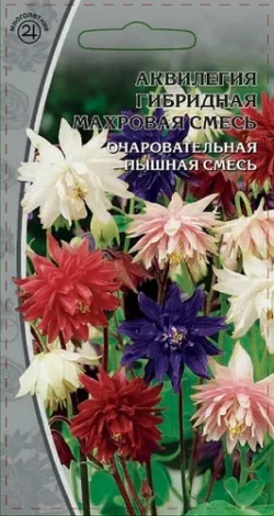 Аквилегия гибридная Махровая смесь 0,05 гр Аквилегия гибридная Махровая смесь 0