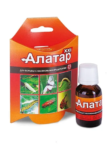 Алатар Алатар — изображение 4