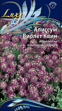 Алиссум Виолет квин 0,25 гр цв.п Алиссум Виолет квин 0