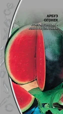Арбуз Огонек 1 гр цв.п. Арбуз Огонек 1 гр цв.п.