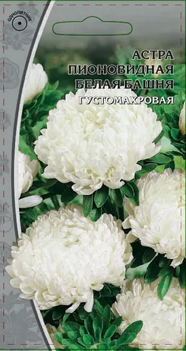 Астра Белая башня 0