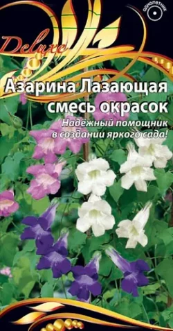 Азарина Лазающая смесь 10 шт Азарина Лазающая смесь 10 шт