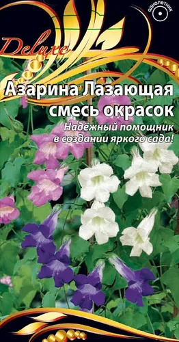 Азарина Лазающая смесь 10 шт Азарина Лазающая смесь 10 шт