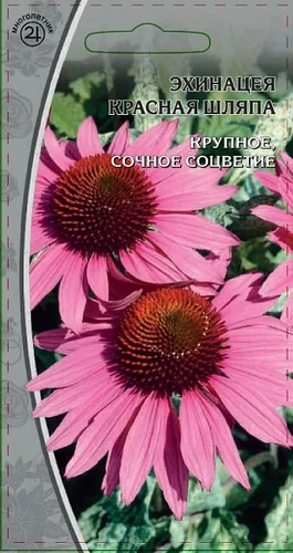Эхинацея Красная шляпа 0,3 гр Эхинацея Красная шляпа 0
