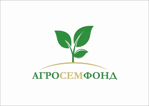 Гейхера Блэкаут — изображение 4