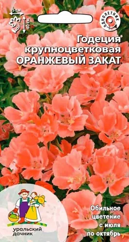 Годеция крупноцветковая Оранжевый закат (УД) 0,1 гр цв п Годеция крупноцветковая Оранжевый закат (УД) 0