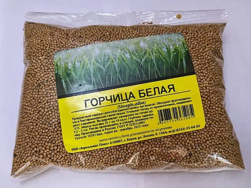 Горчица 0,5 кг. Горчица 0