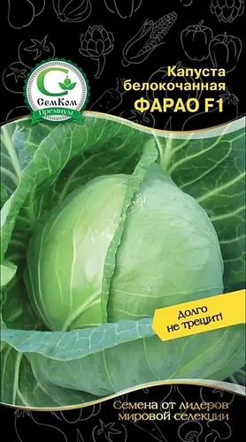 Капуста белокочанная Фарао F1 (Bejo Zaden) 15шт. цв.п. Капуста белокочанная Фарао F1 (Bejo Zaden) 15шт. цв.п.