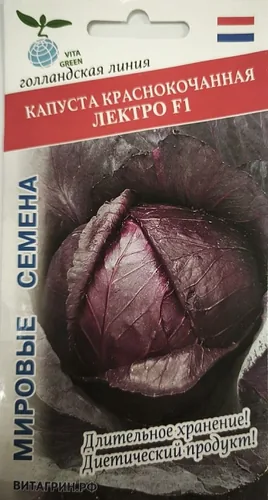 Капуста краcнокочанная Лектро F1 (Bejo Zaden) 10шт. цв.п. Капуста краcнокочанная Лектро F1 (Bejo Zaden) 10шт. цв.п.