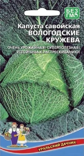 Капуста савойская Вологодские кружева (УД) 0,25 гр. цв.п. Капуста савойская Вологодские кружева (УД) 0
