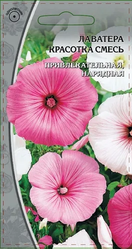 Лаватера Красотка смесь 0,5 гр Лаватера Красотка смесь 0