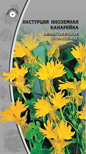 Настурция иноземная Канарейка 0