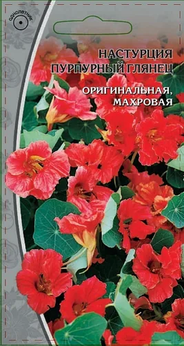 Настурция Пурпурный глянец 1 гр Настурция Пурпурный глянец 1 гр