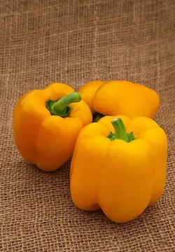 Перец сладкий Желтый колокол 0