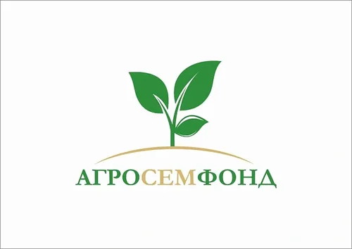 Роза английская Бразе Кадфаэль Роза английская Бразе Кадфаэль — изображение 6