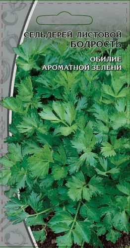Сельдерей листовой Бодрость 0,5 гр цв.п Сельдерей листовой Бодрость 0